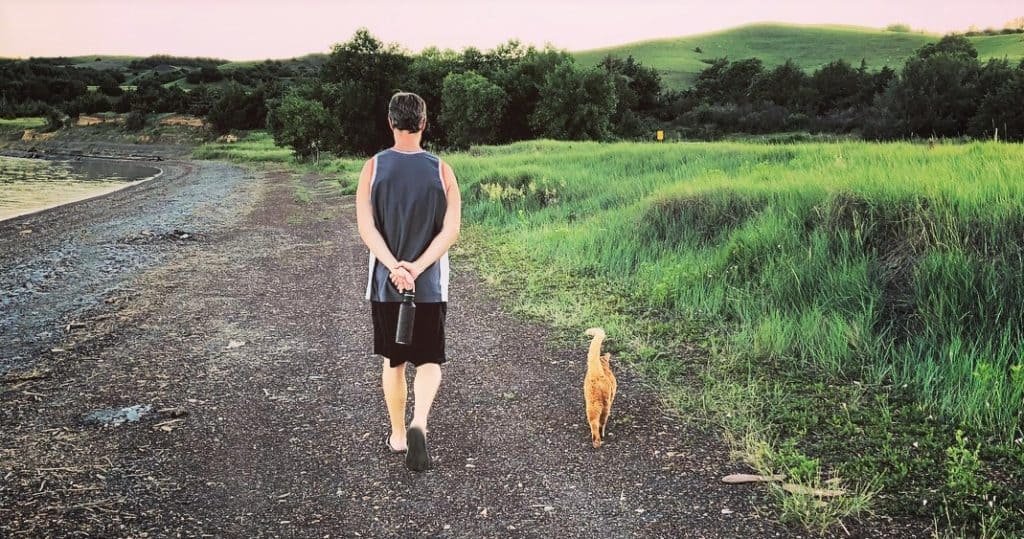 Taking Monty for a walk