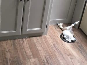 How to Fix an RV Toilet Leaking Around the Base – Life on Route