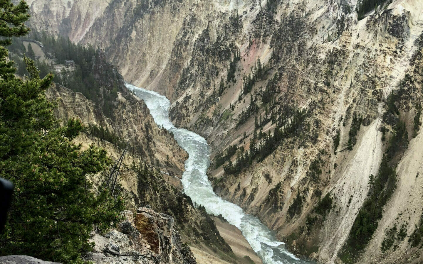 grand canyon of yellowstone national park